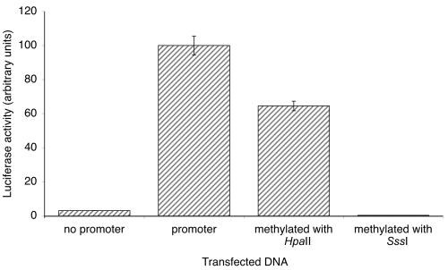 Figure  3. 