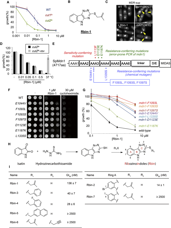 Figure 1