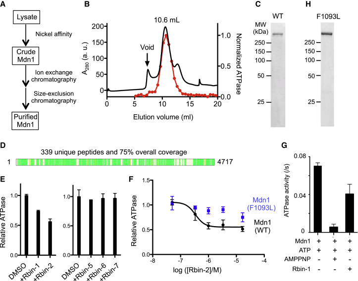 Figure 3