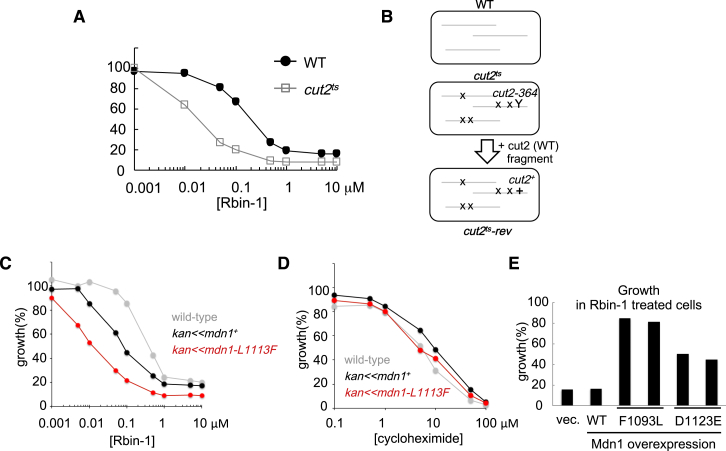 Figure S1