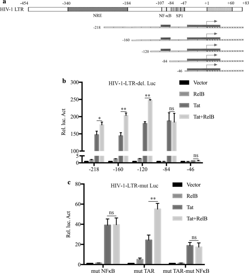 Fig. 6