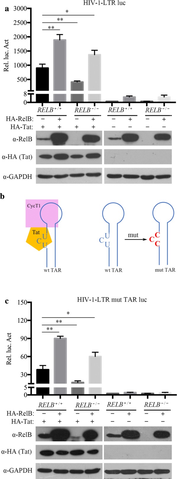 Fig. 4