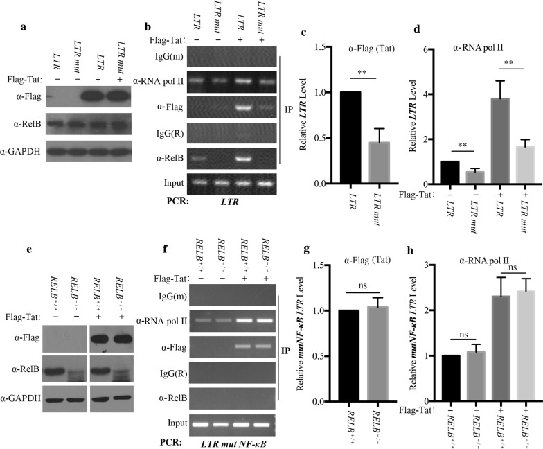 Fig. 7