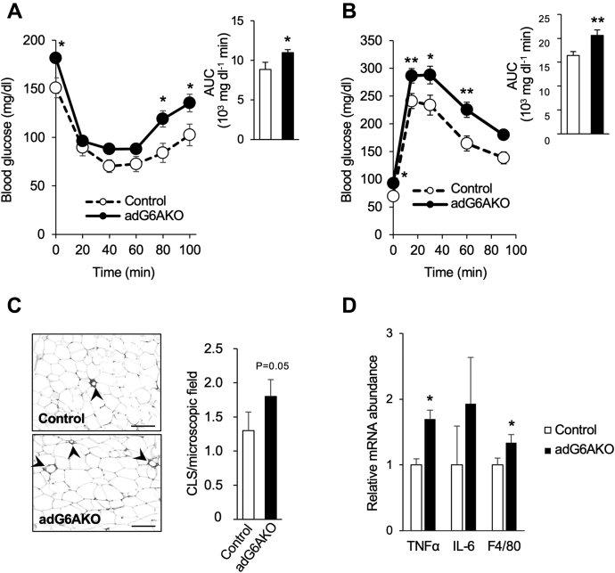 Figure 4