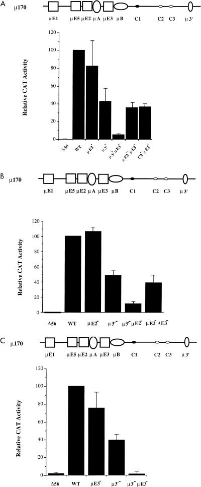 FIG. 6