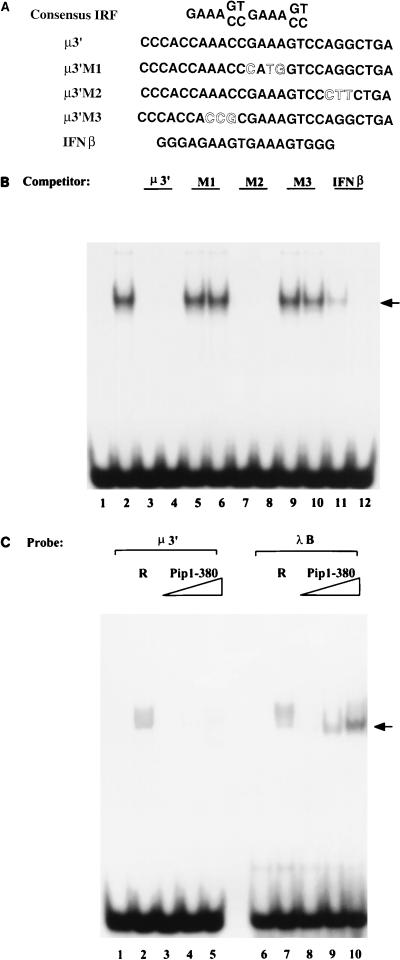 FIG. 5