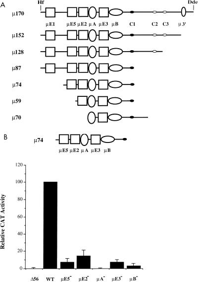 FIG. 1