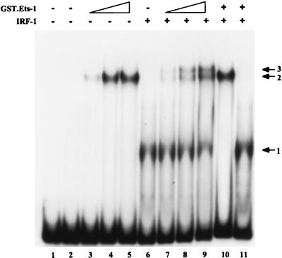FIG. 7