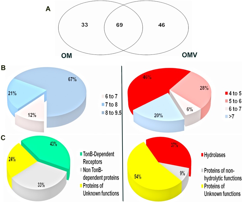 FIG 3 