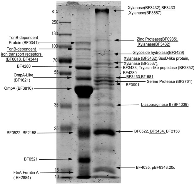 FIG 2 