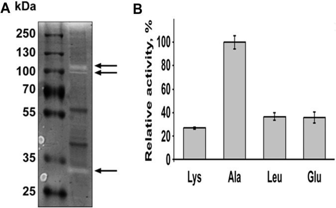 FIG 4 