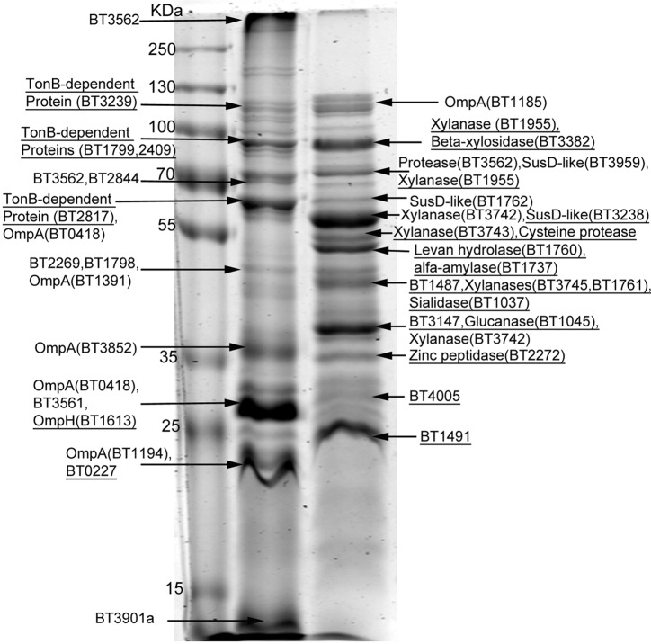 FIG 6 