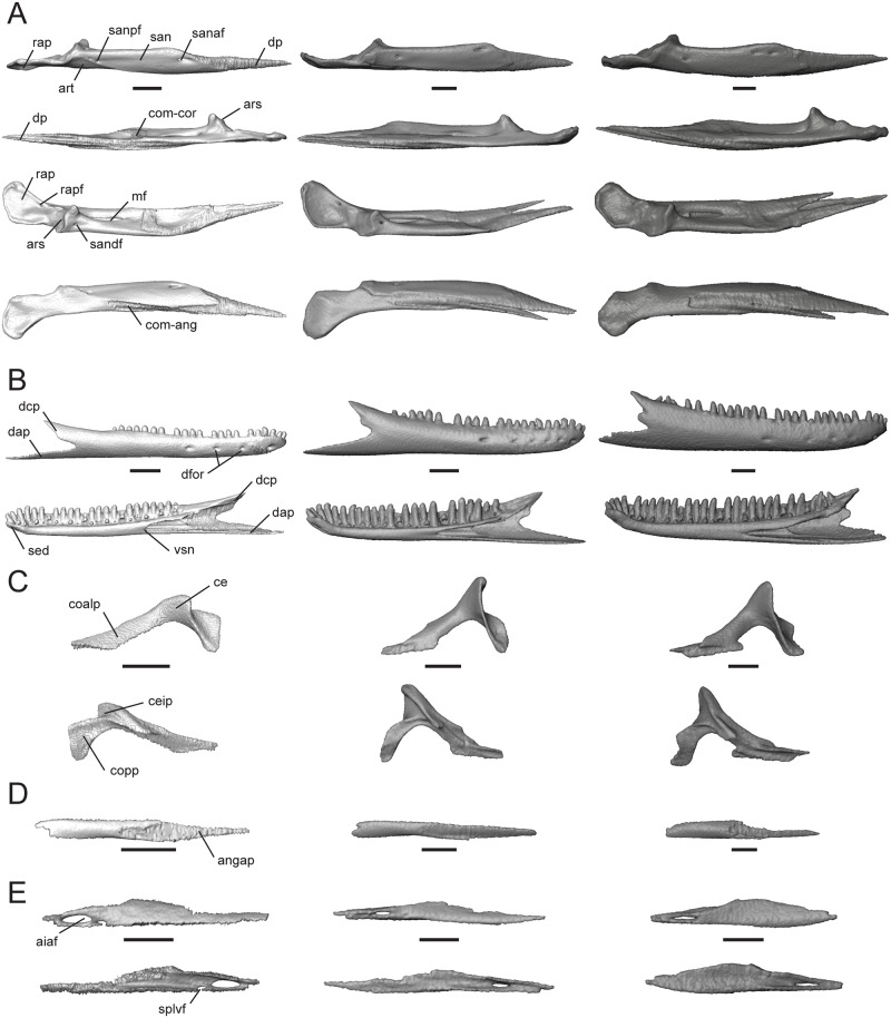 Fig 13