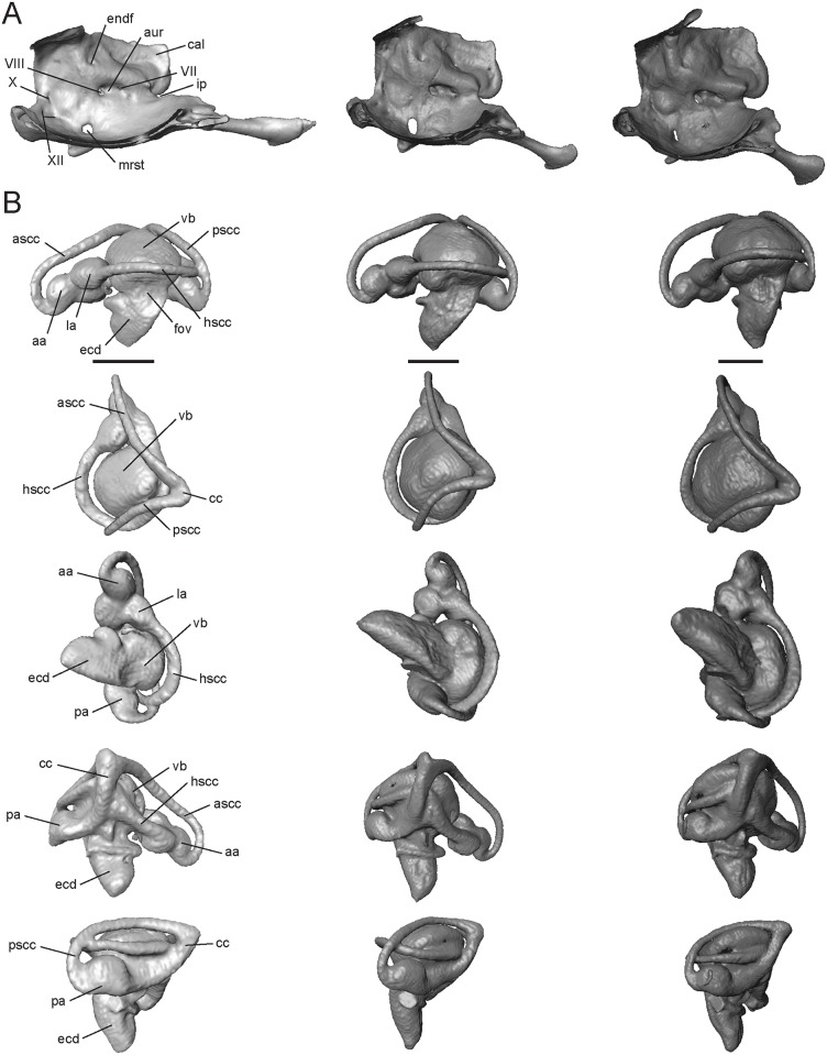 Fig 12