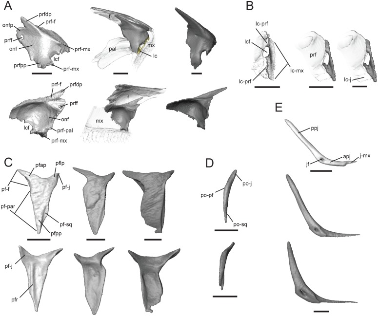 Fig 5