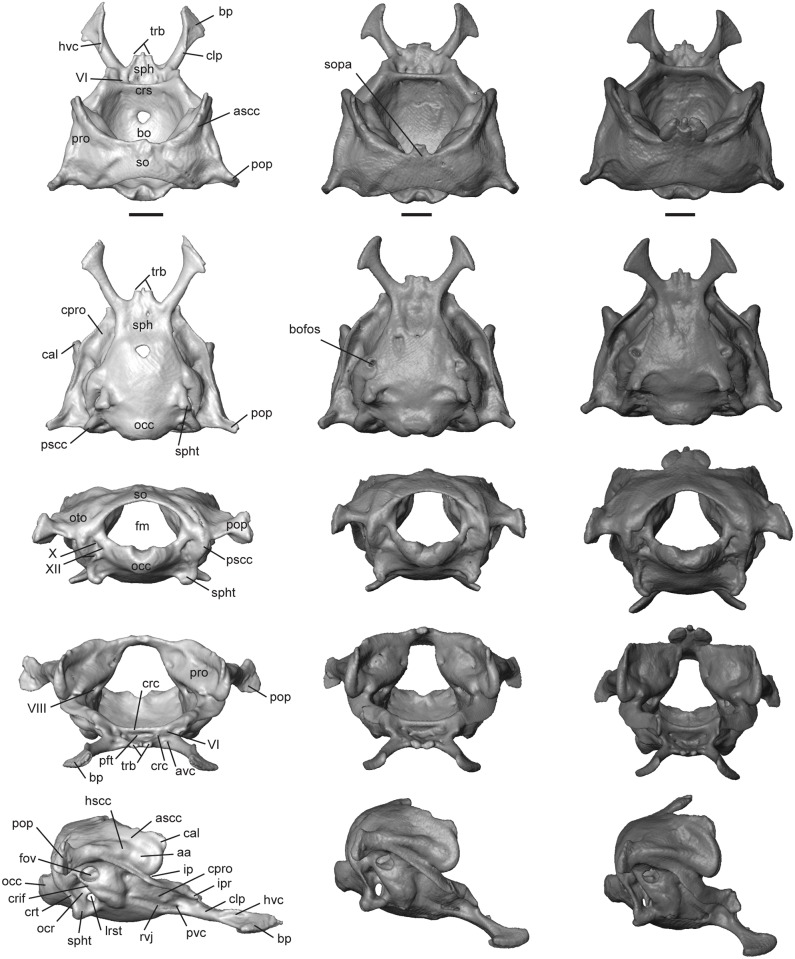 Fig 11