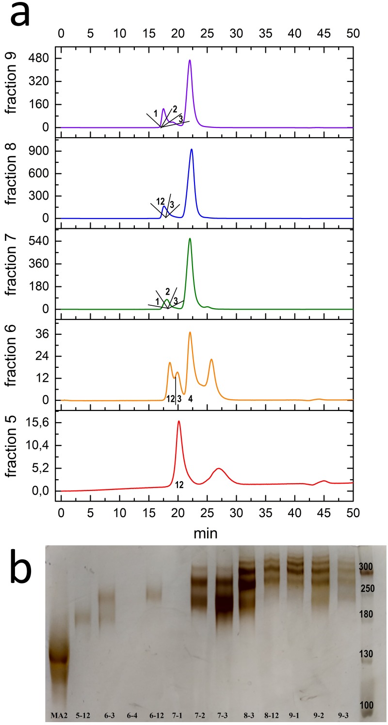 Fig 5