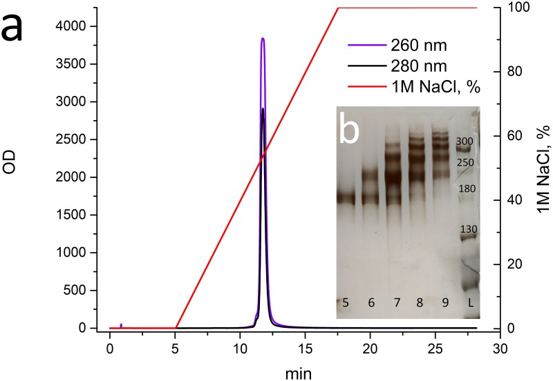 Fig 4