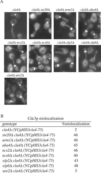 Figure 10.