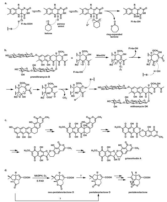 Fig. 24