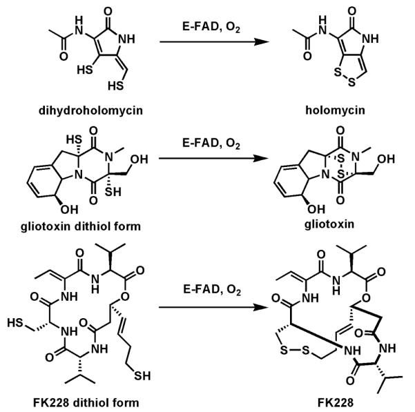 Fig. 17