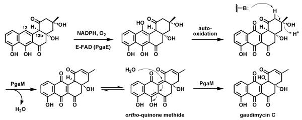 Fig. 23