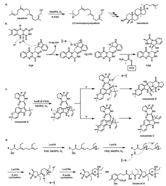 Fig. 25