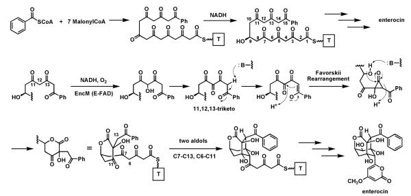 Fig. 28