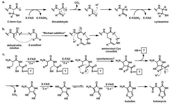 Fig. 18