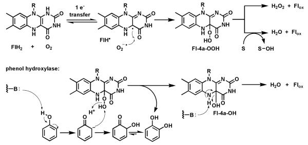 Fig. 22