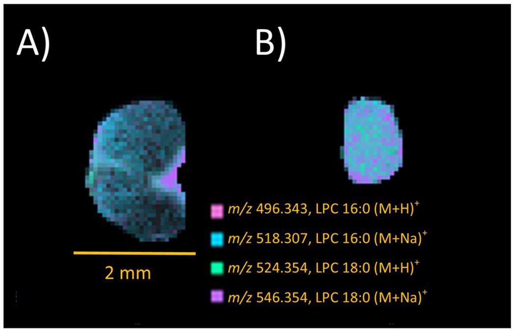 Figure 5.