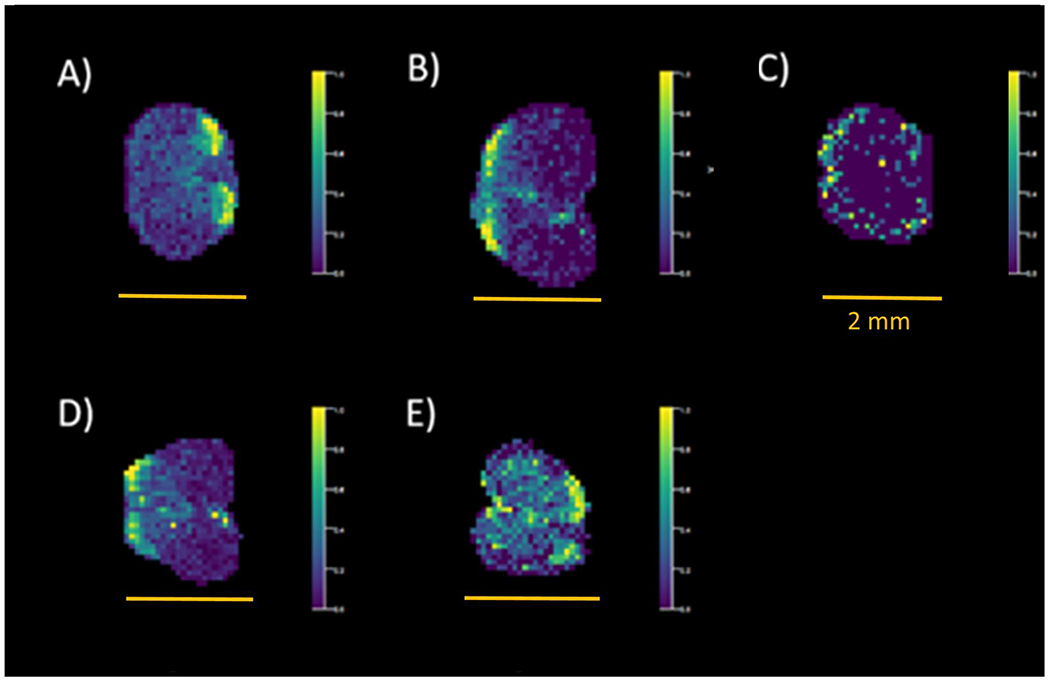 Figure 6.