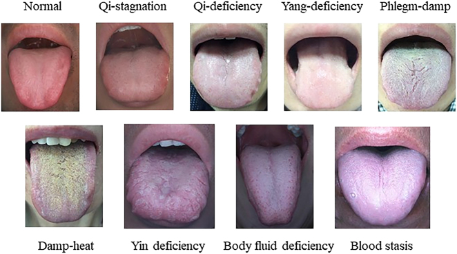 Figure 5: