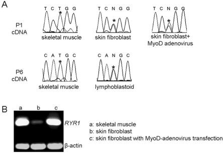 Figure  4. 