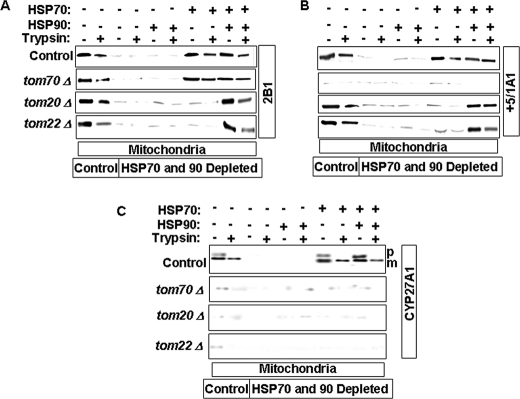 FIGURE 6.