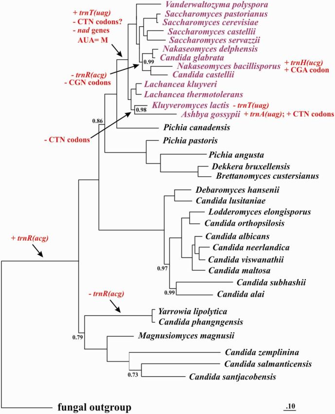 Figure 5.