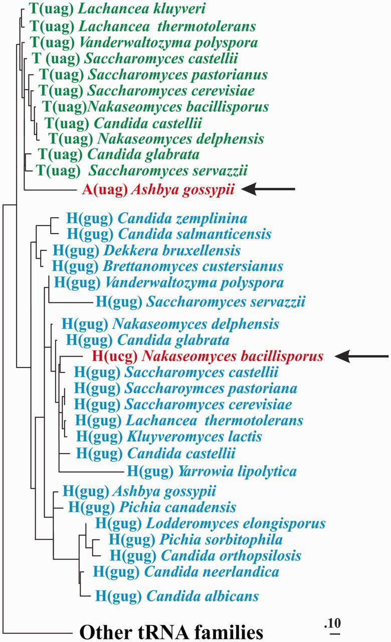 Figure 3.