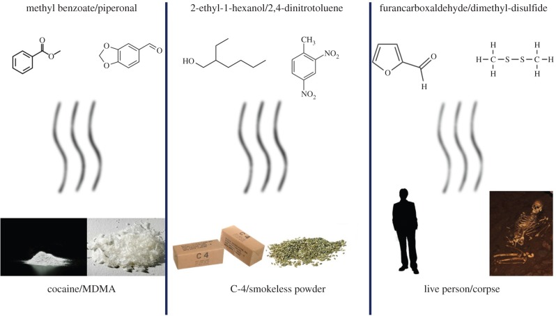 Figure 3.