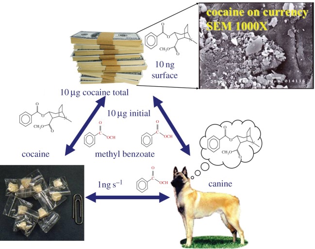 Figure 4.