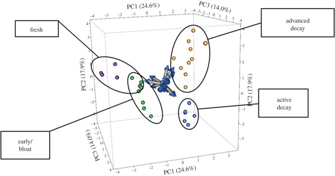 Figure 10.