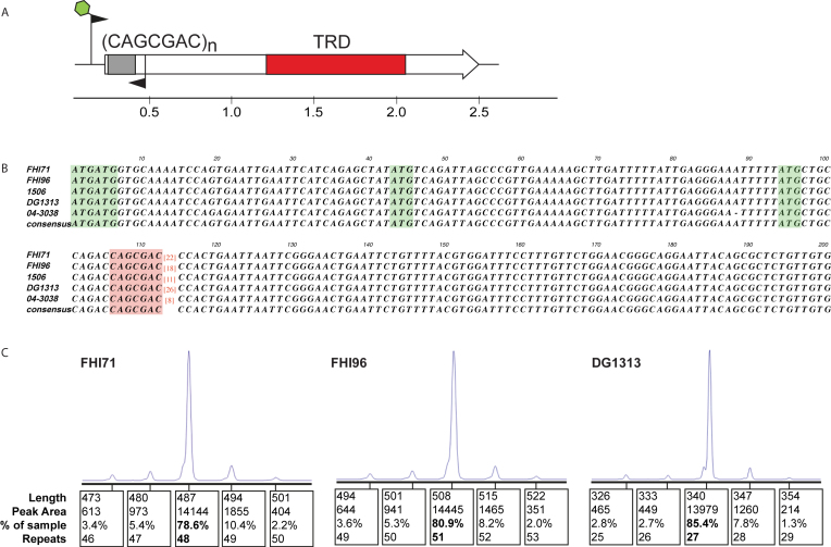 Figure 2.