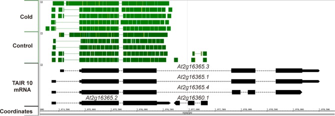 Figure 1—figure supplement 3.