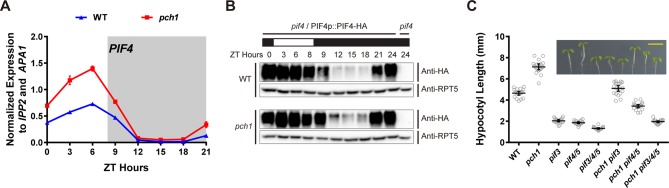 Figure 7.