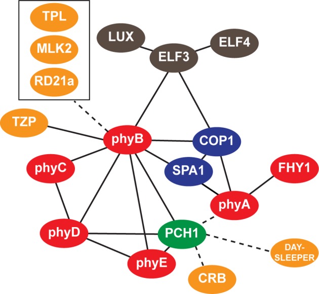 Figure 4—figure supplement 1.