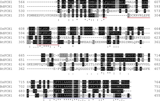 Figure 1—figure supplement 5.