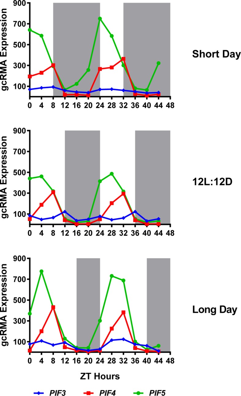 Figure 8—figure supplement 1.