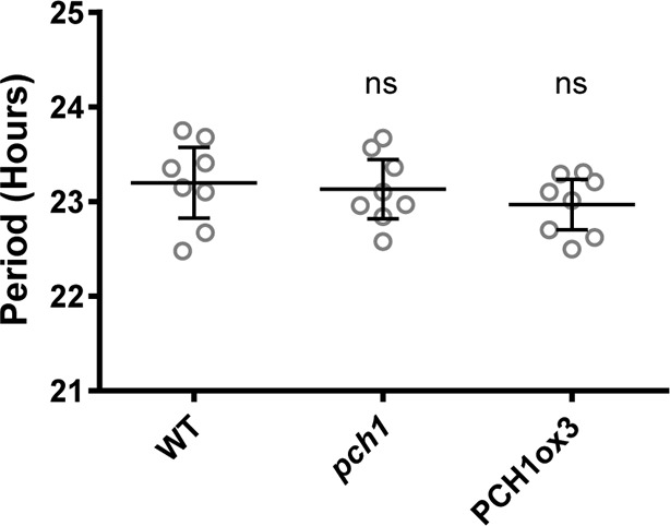 Figure 3—figure supplement 1.