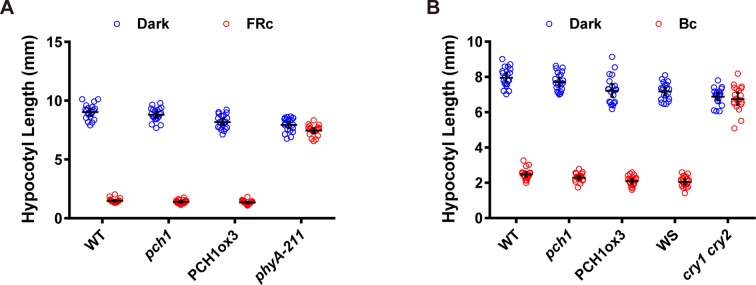 Figure 6—figure supplement 1.