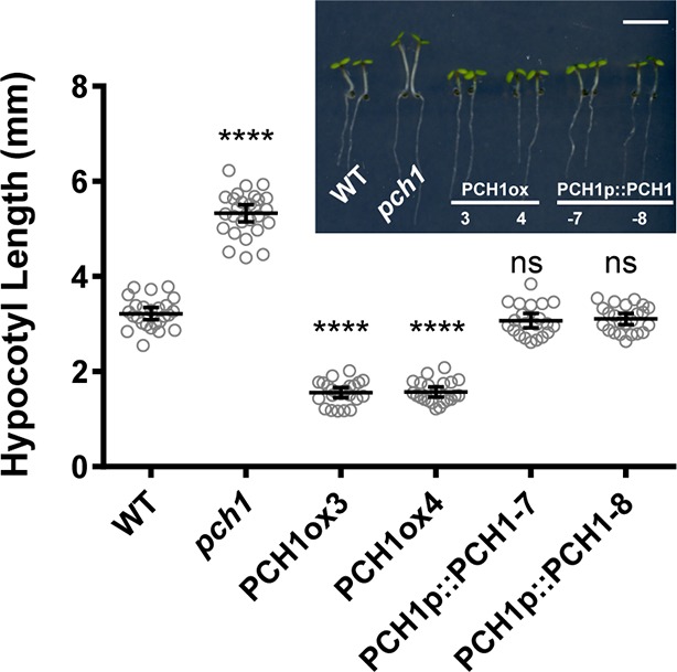 Figure 2—figure supplement 1.