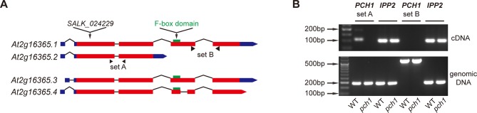 Figure 1—figure supplement 1.